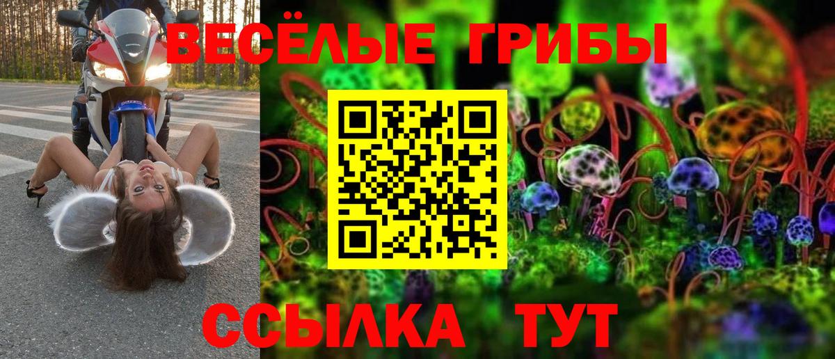 Псилоцибиновые грибы GOLDEN TEACHER  Вход с VPN  Унеча 